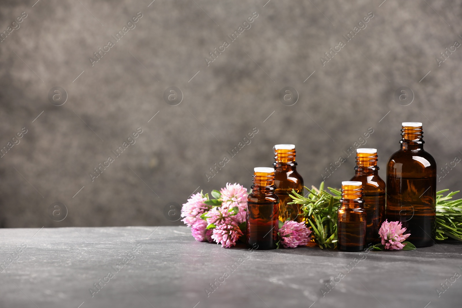 Photo of Bottles with essential oils, clover and rosemary on grey textured table. Space for text