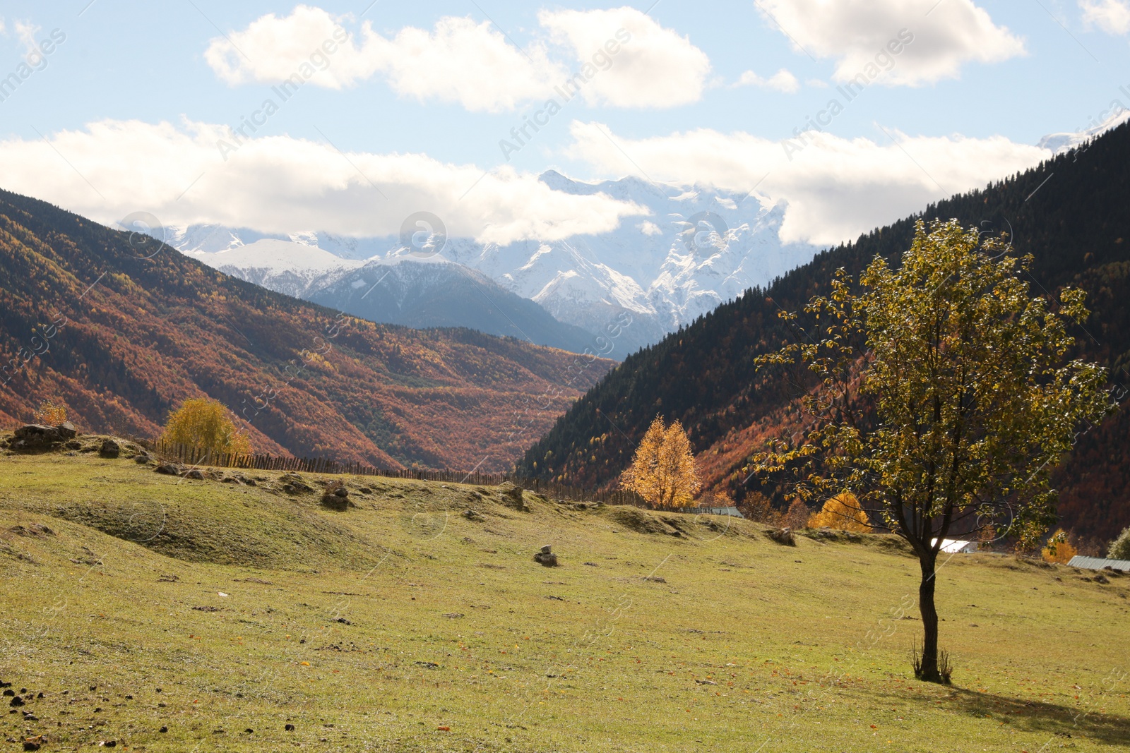 Photo of Picturesque view of mountain landscape with forest and meadow under cloudy sky