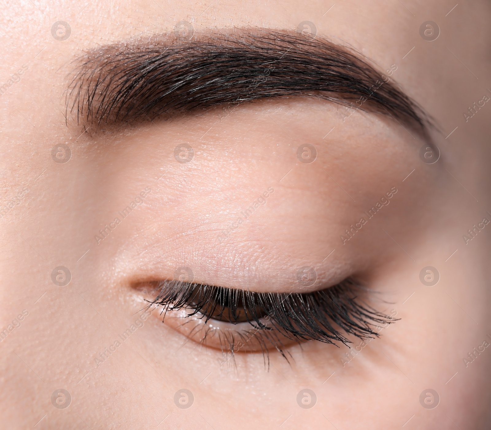 Photo of Beautiful woman with perfect eyebrows, closeup