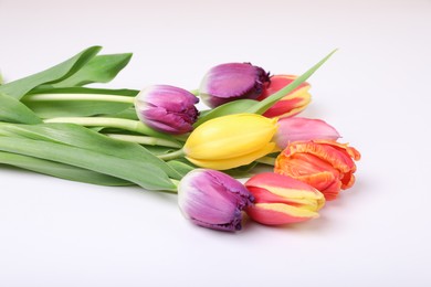 Photo of Beautiful colorful tulip flowers on white background, closeup