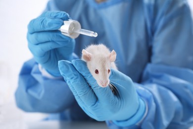 Photo of Scientist with rat and cosmetic product in chemical laboratory, closeup. Animal testing