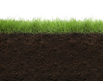 Image of Soil with lush green grass on white background