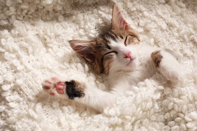Photo of Cute kitten sleeping on soft plaid, above view. Baby animal