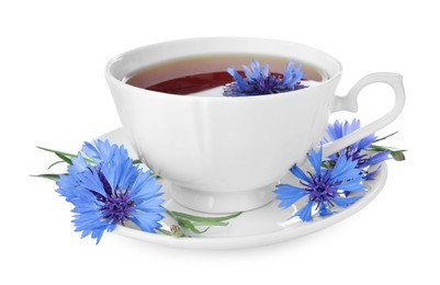 Photo of Cornflower tea and fresh flowers on white background