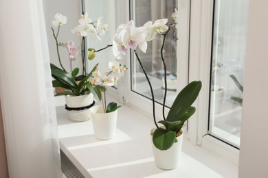 Photo of Blooming orchid flowers in pots on windowsill