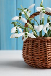 Photo of Beautiful snowdrops in wicker basket on white wooden table