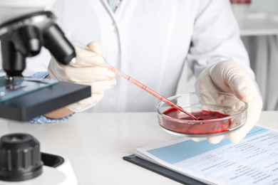 Photo of Scientist taking blood sample from Petri dish with pipette in laboratory, closeup. Virus research