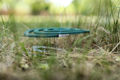 Smouldering insect repellent coil on grass outdoors