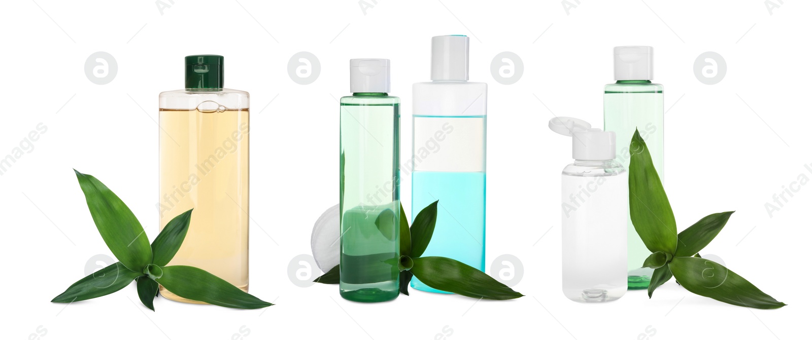 Image of Set with bottles of micellar cleansing water and green leaves on white background