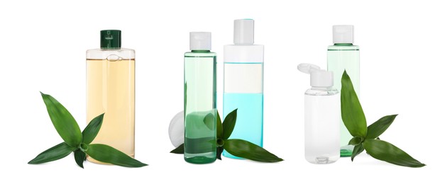 Set with bottles of micellar cleansing water and green leaves on white background