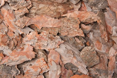 Photo of Many tree bark pieces as background, closeup