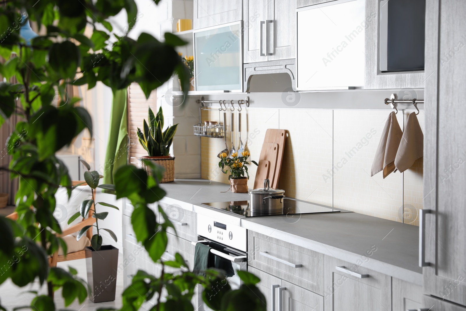 Photo of Stylish kitchen interior with green plants. Home decoration