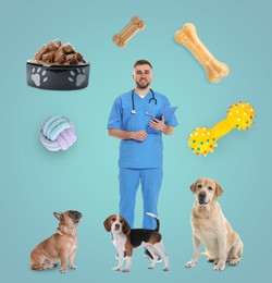Collage with photos of veterinarian doc, pets, food and toys on light blue background
