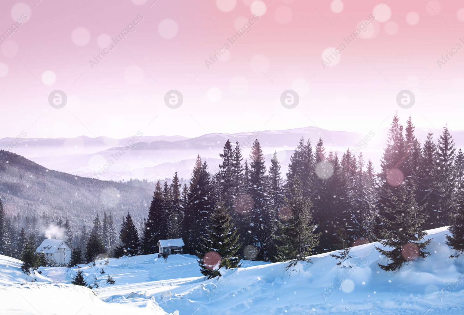 Image of Beautiful view of snowy forest and cottages on winter day