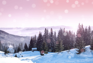 Image of Beautiful view of snowy forest and cottages on winter day