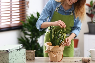 Young woman taking care of houseplant indoors, closeup. Interior element