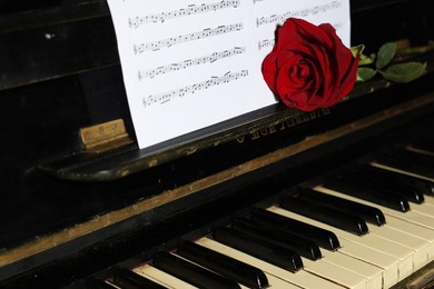 Beautiful red rose and musical notes on piano, closeup