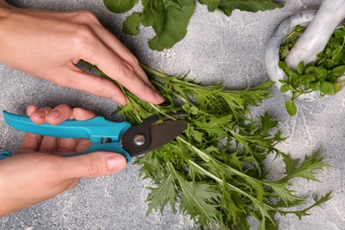 Woman cutting fresh green herb with pruner on light grey table, top view