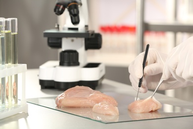 Photo of Scientist inspecting meat sample in laboratory, closeup. Food quality control