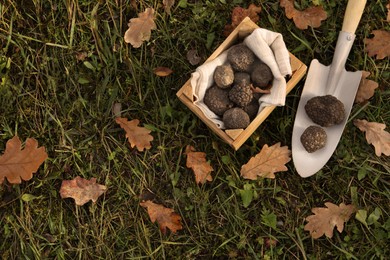 Wooden crate and shovel with fresh truffles on green grass, flat lay. Space for text