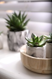Photo of Beautiful potted succulents on white window sill