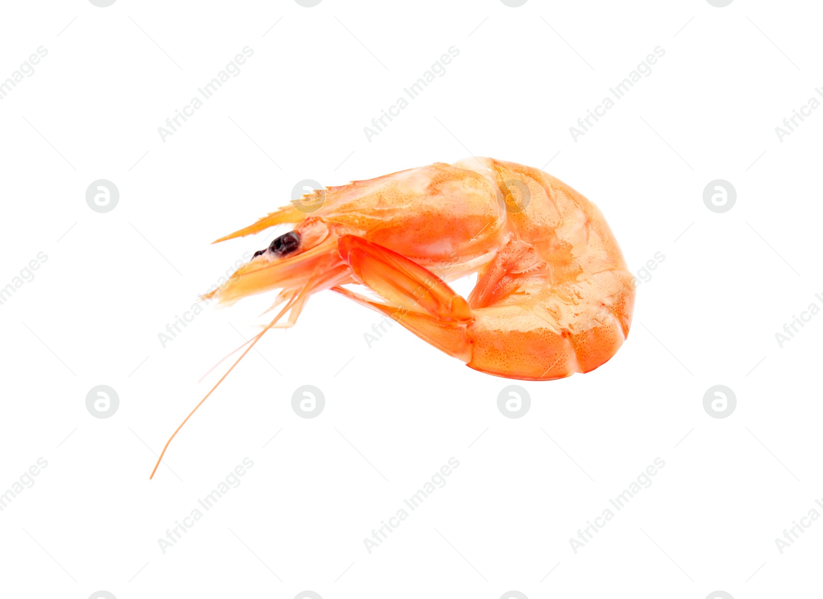 Photo of Delicious cooked whole shrimp on white background