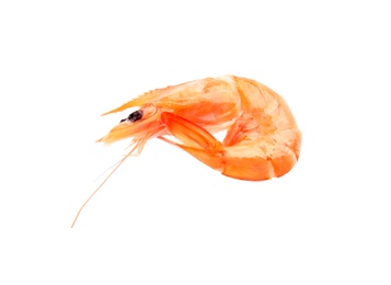 Photo of Delicious cooked whole shrimp on white background