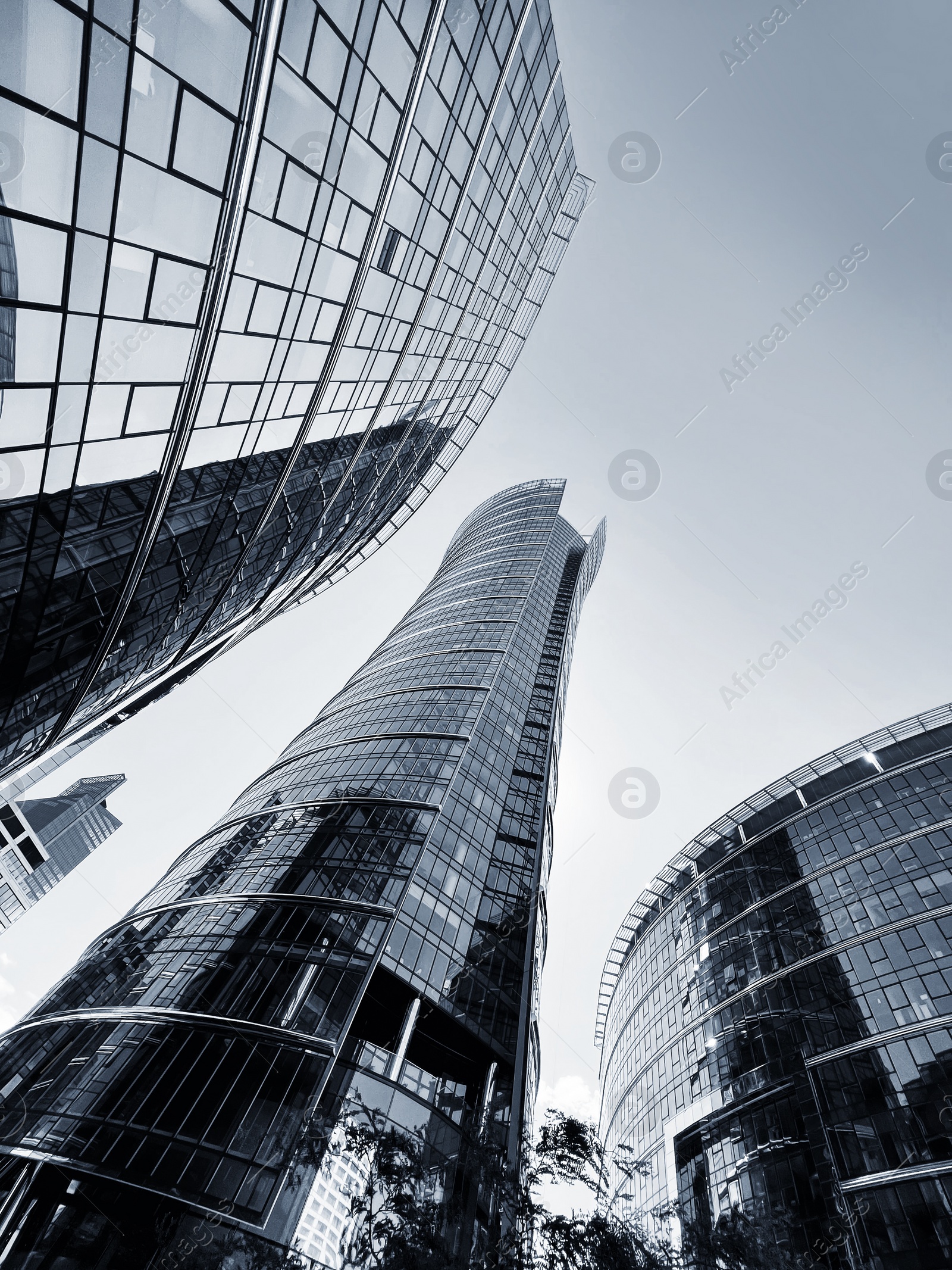 Image of Low angle view of modern business complex. Black and white effect