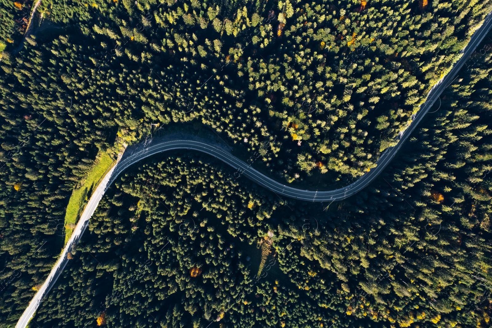 Image of Aerial view of asphalt road surrounded by coniferous forest on sunny day. Drone photography