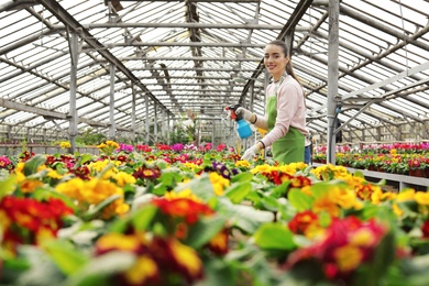 Photo of Young woman taking care of blooming flowers in greenhouse. Home gardening