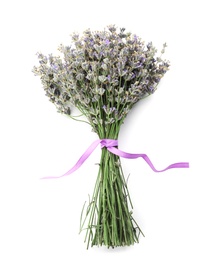 Photo of Beautiful blooming lavender flowers on white background