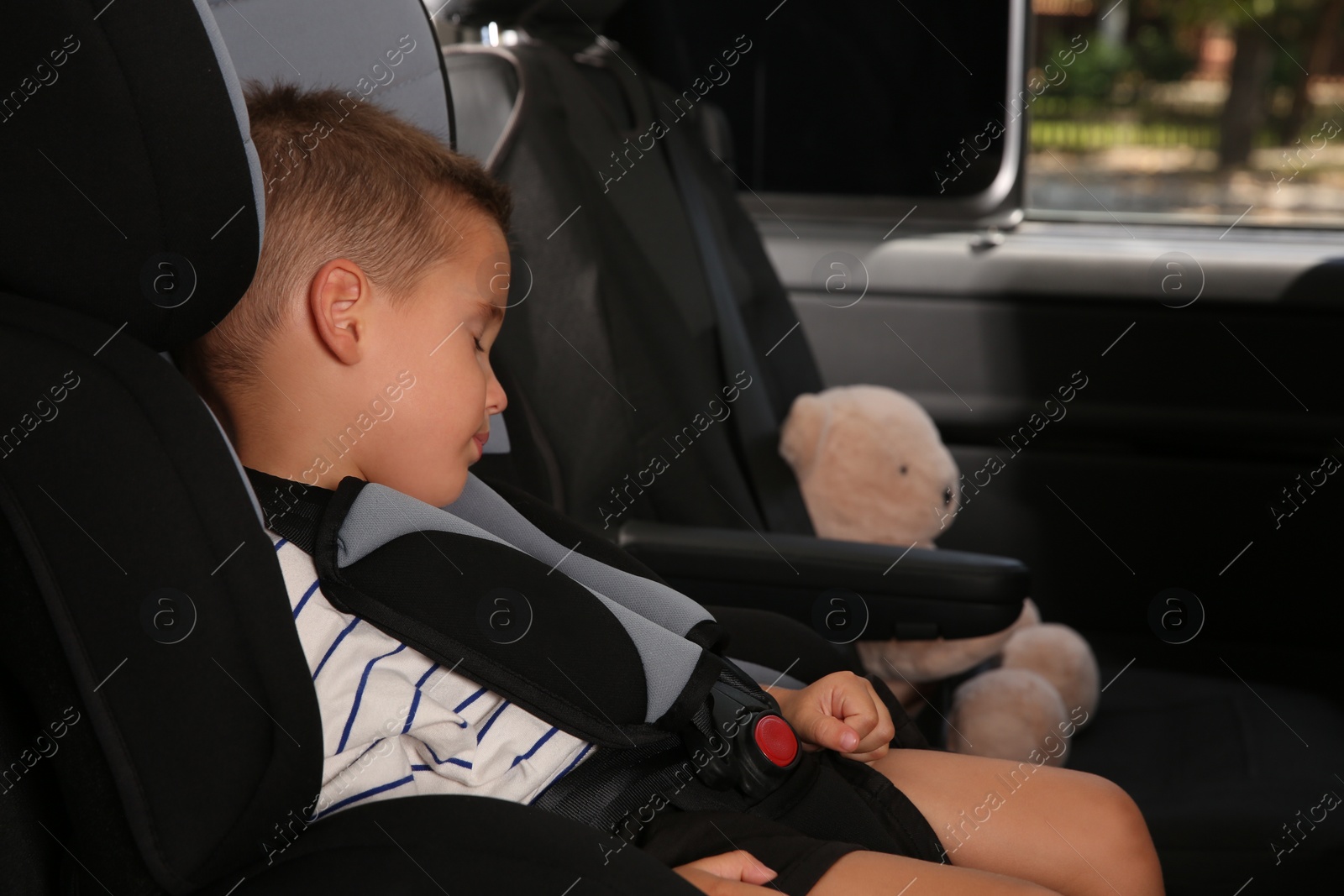 Photo of Little boy fastened with car safety belt sleeping in child seat