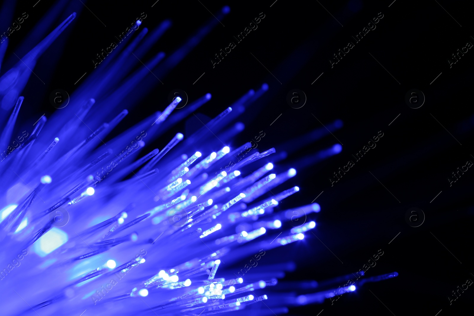 Photo of Optical fiber strands transmitting blue light on black background, macro view. Space for text