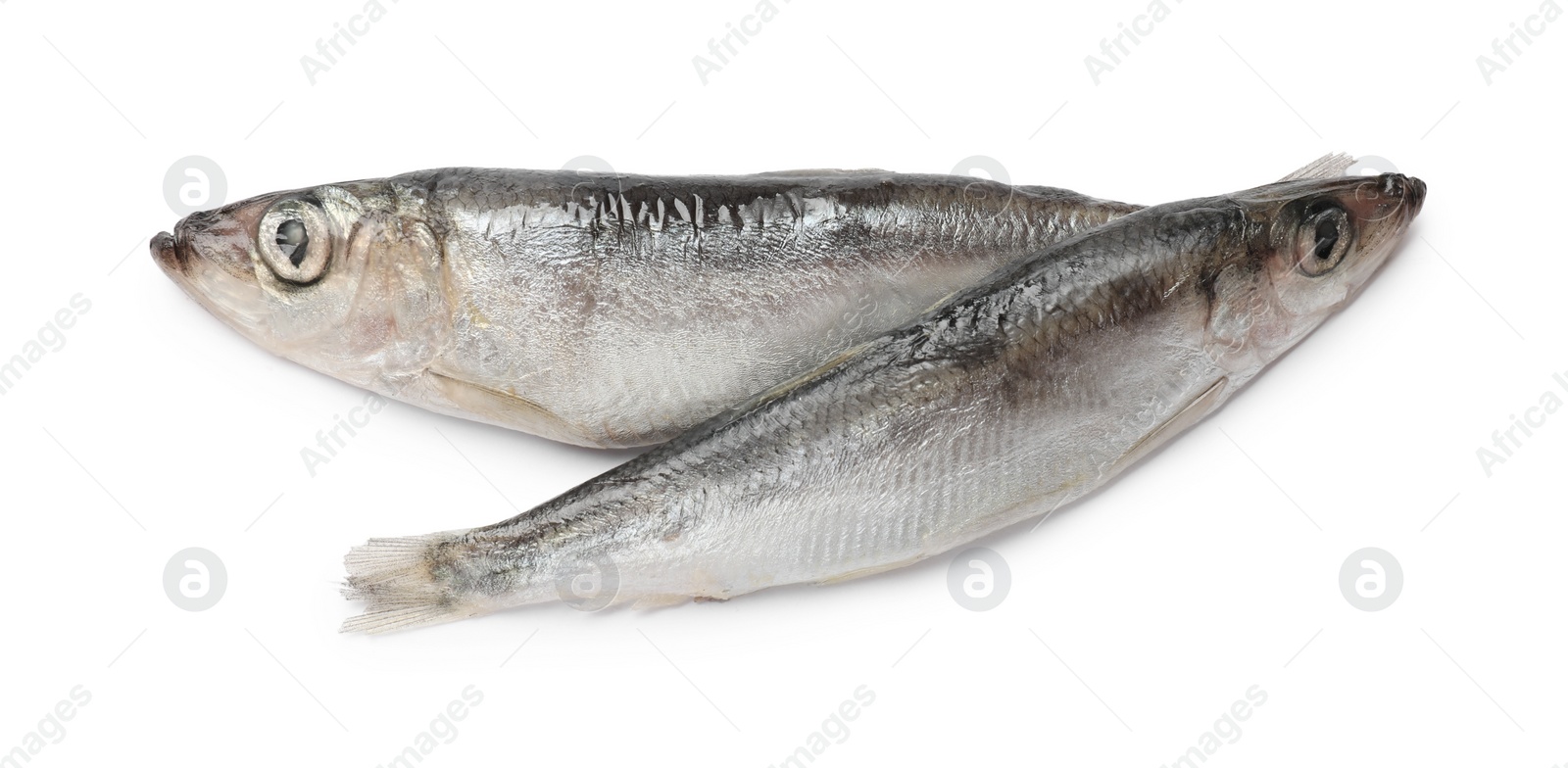 Photo of Fresh raw sprats isolated on white, top view