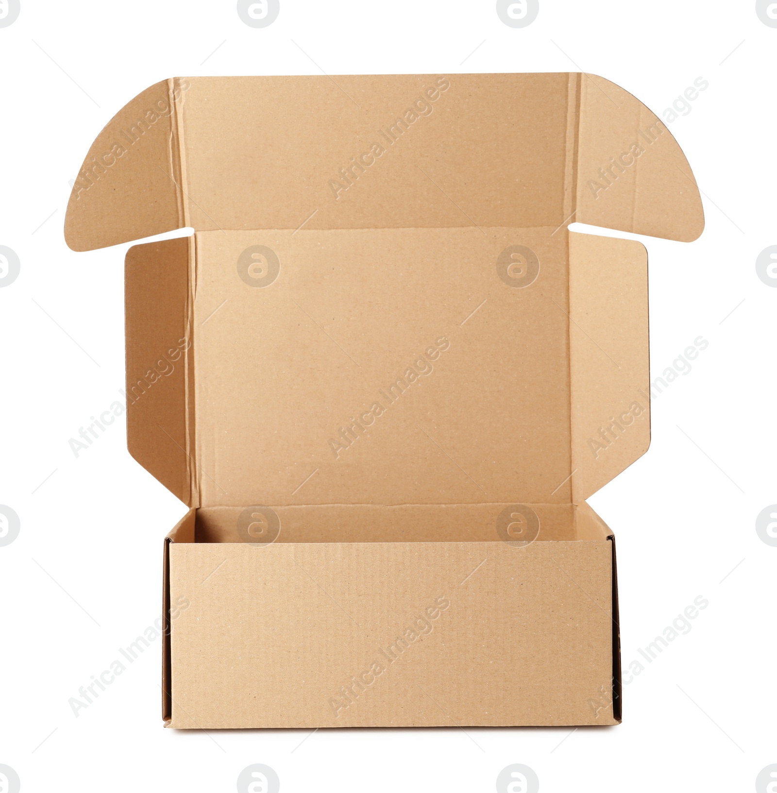 Photo of One open cardboard box isolated on white