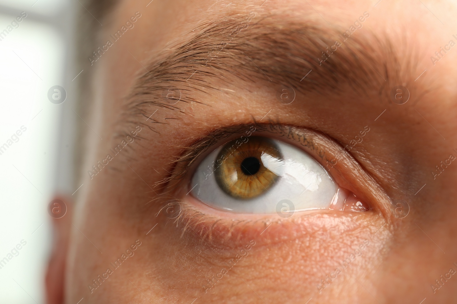 Photo of Closeup view of man with beautiful eye on blurred background