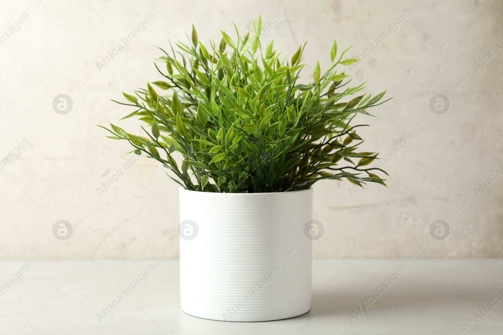 Photo of Artificial plant in white flower pot on table against light background