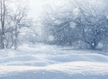 Image of Beautiful fluffy snow in forest. Winter season 