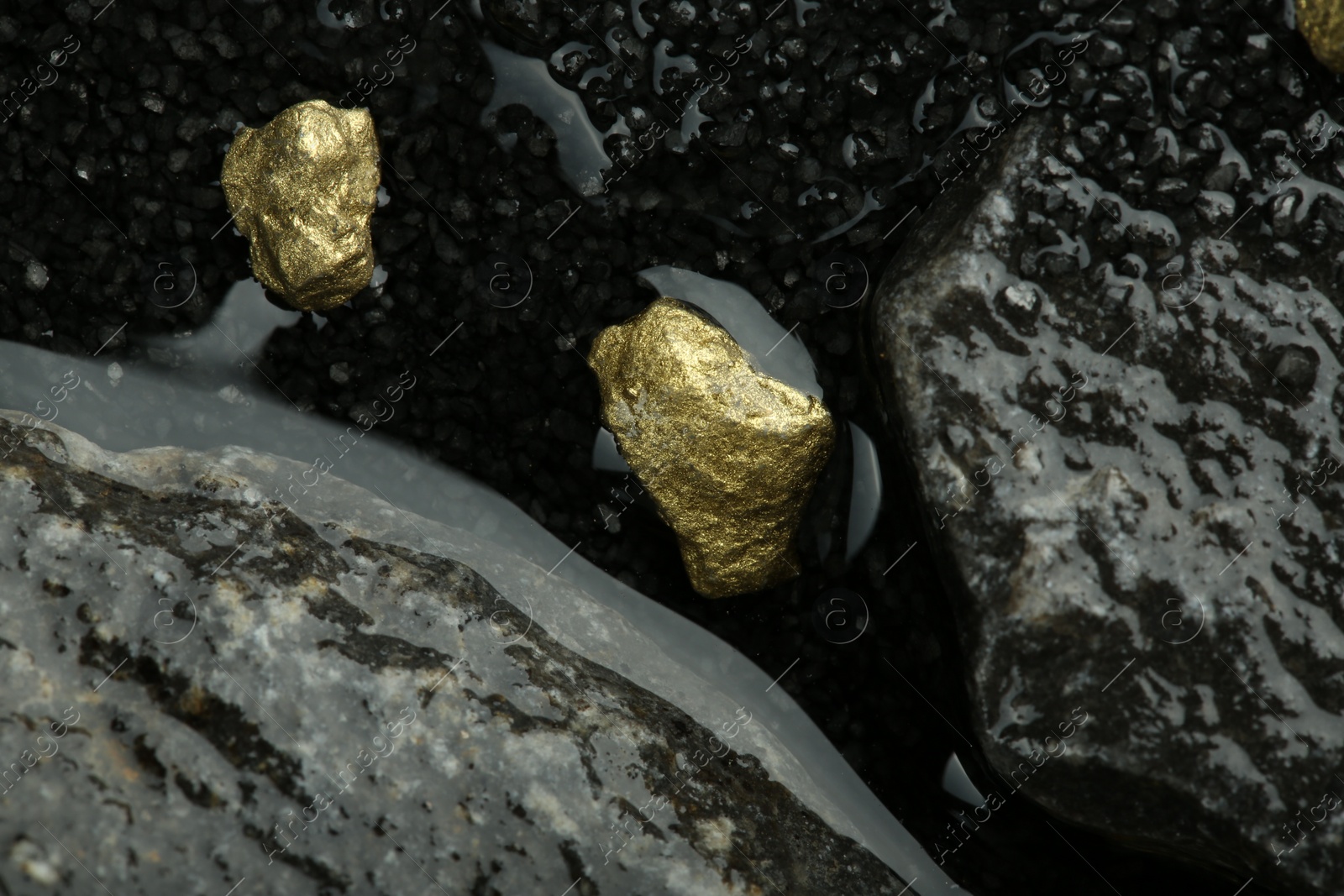 Photo of Shiny gold nuggets on wet stones, top view