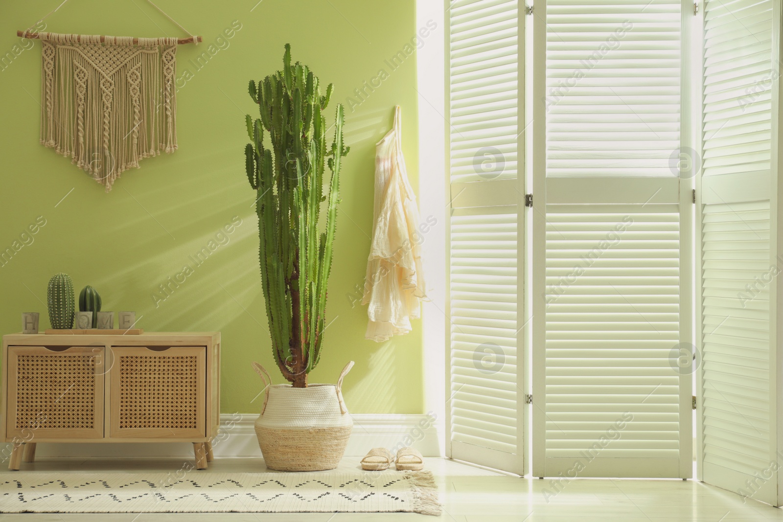 Photo of Hallway interior with cactus in pot and wooden furniture