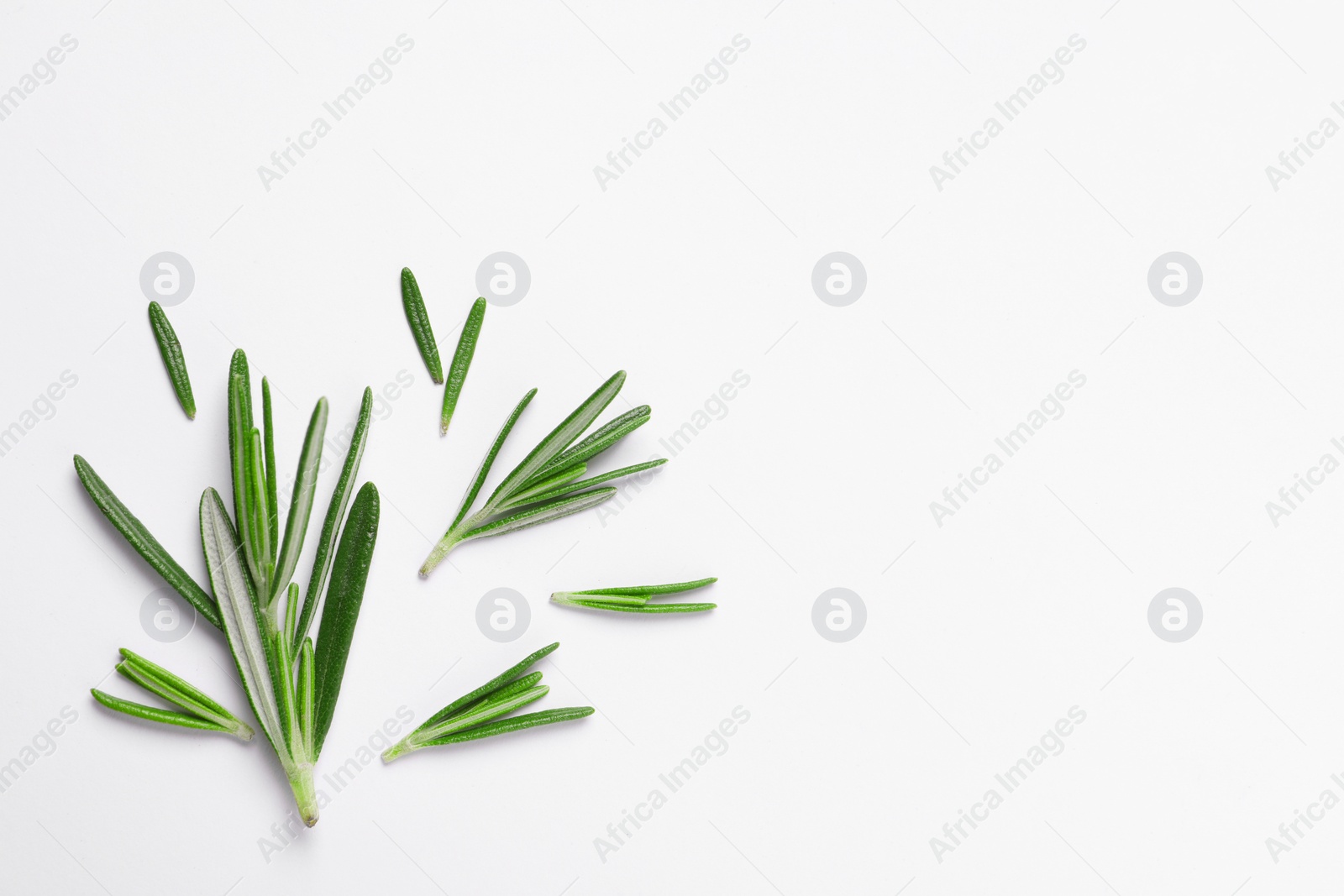 Photo of Sprigs of fresh rosemary on white background, flat lay. Space for text