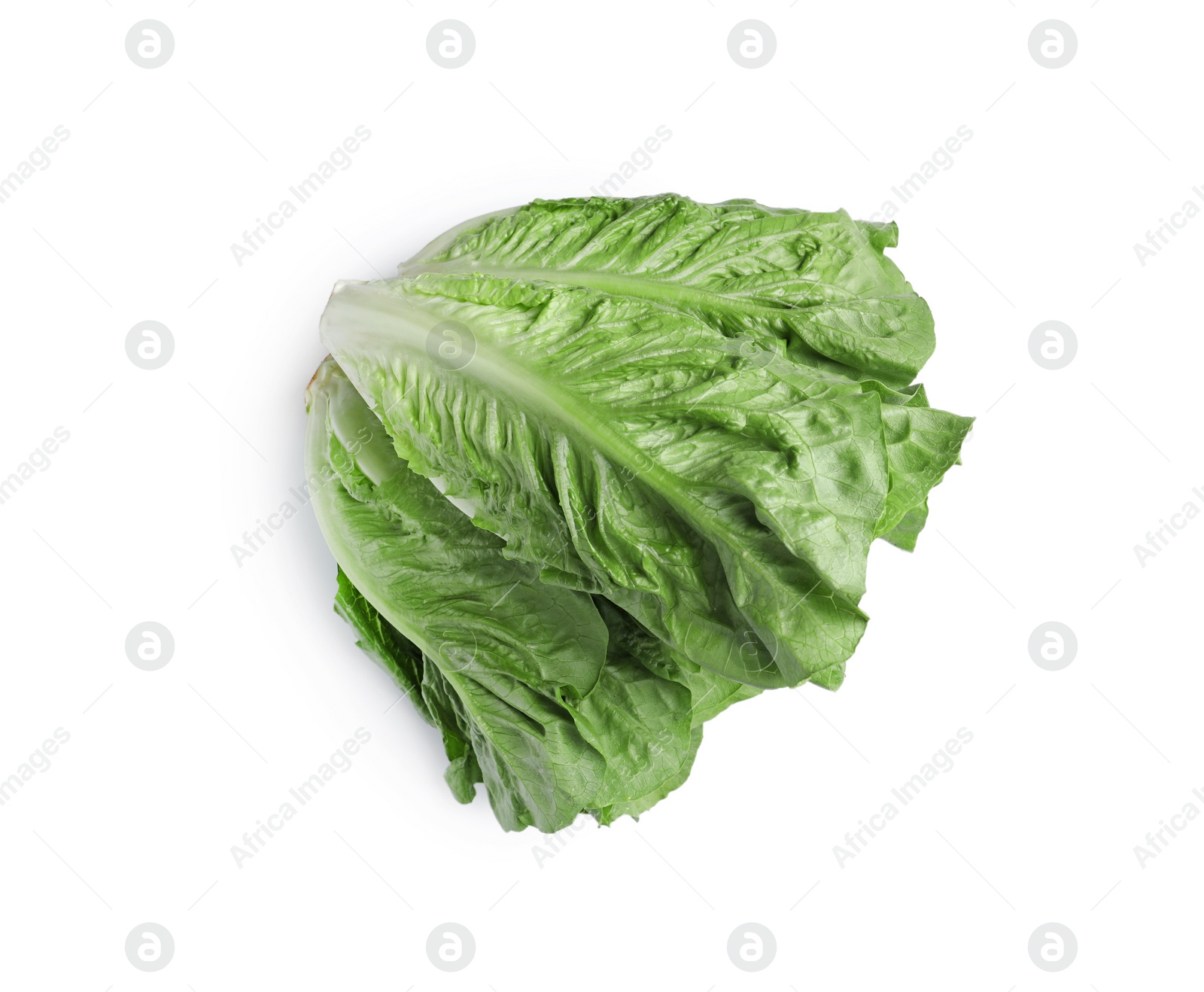 Photo of Fresh green romaine lettuces isolated on white, top view