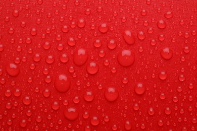 Photo of Water drops on red background, top view