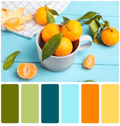 Color matching palette. Fresh ripe tangerines with green leaves on light blue wooden table