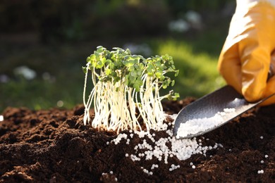 Photo of Man fertilizing soil with growing young microgreens outdoors, selective focus