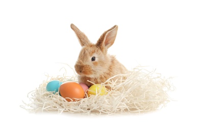 Photo of Adorable furry Easter bunny with decorative straw and dyed eggs on white background
