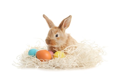 Adorable furry Easter bunny with decorative straw and dyed eggs on white background