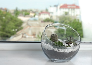 Glass florarium with different succulents on windowsill, space for text