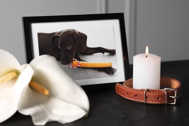 Photo of Frame with picture of dog, collar, burning candles and calla flowers on black table, closeup. Pet funeral