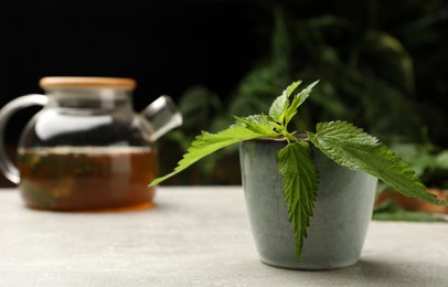 Cup of aromatic nettle tea with green leaves on light grey table, space for text